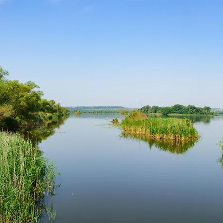 In 19455 Feriehus Balatonkeresztúr